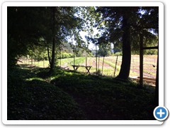 Enclosed orchard and vegetable garden 01
