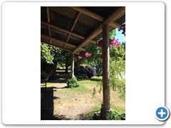 IMG_1245