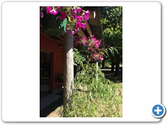 IMG_1246