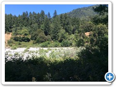 River 01
