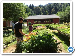 Store for flowe garden