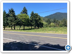 View  from bridal rd to garden 02