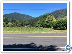 View  from bridal rd to gardens01