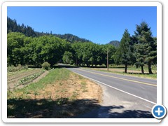View from bridal house rd