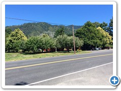 View from bridal house rd to store